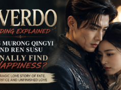 Overdo Ending Explained: Does Murong Qingyi and Ren Susu Finally Find Happiness? Overdo Ending Explained