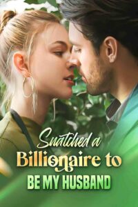 Snatched a Billionaire to be My Husband Universe