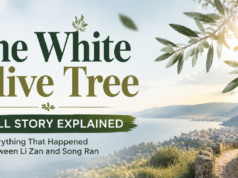 The White Olive Tree Full Story Explained: Everything That Happened Between Li Zan and Song Ran The White Olive Tree Full Story Explained